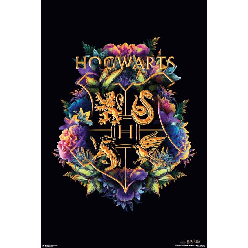Welcome to Hogwarts School Travel Print - Harry Potter Poster