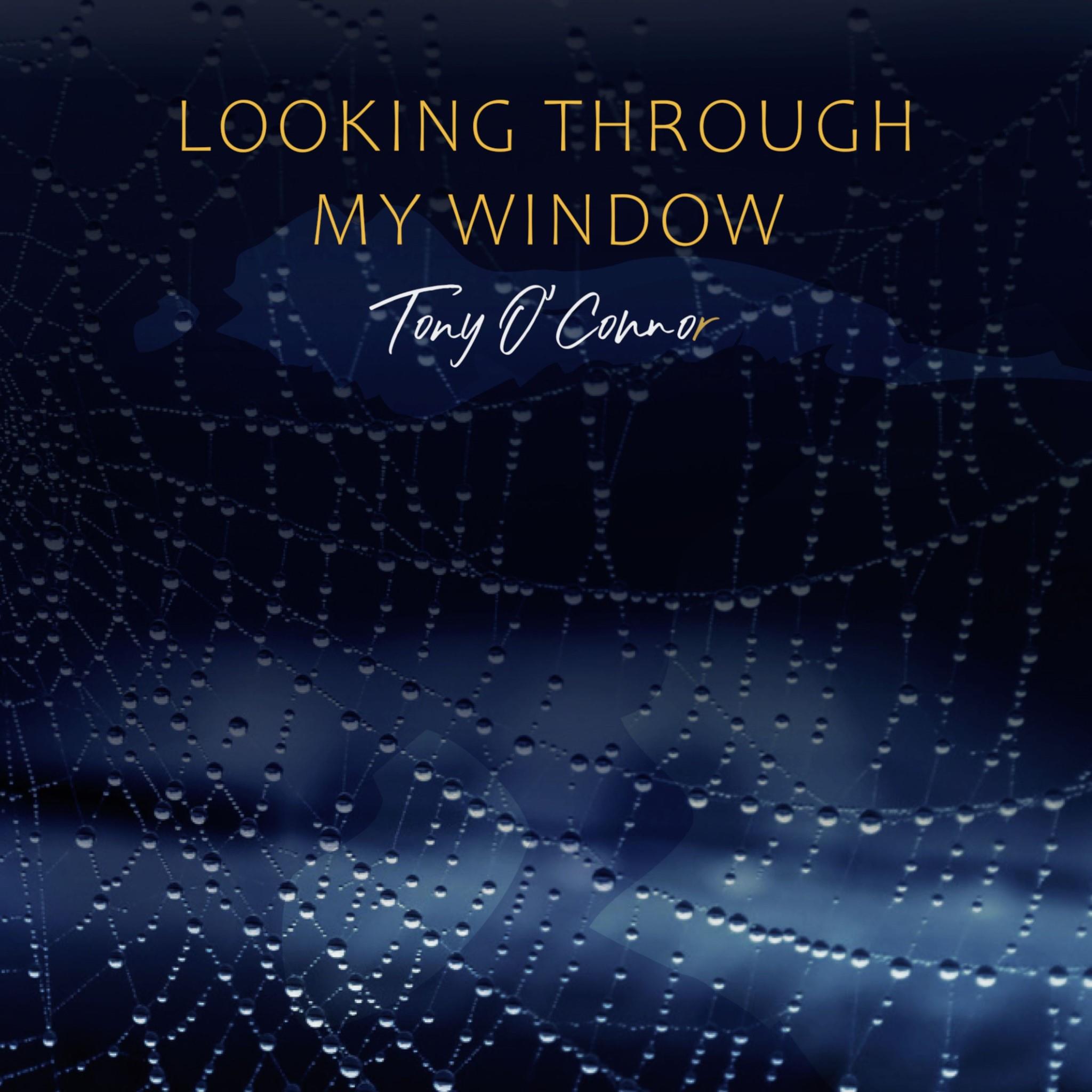Looking Through My Window