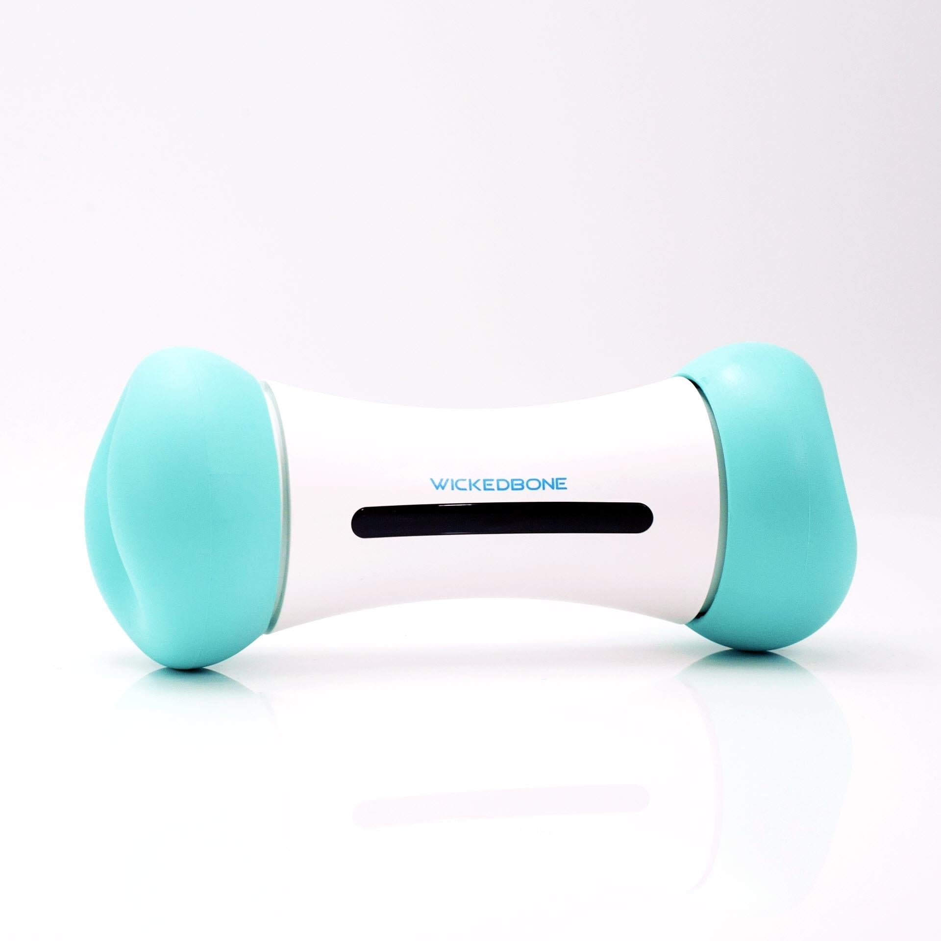 Wickedbone: World's First Smart Interactive Dog Toy