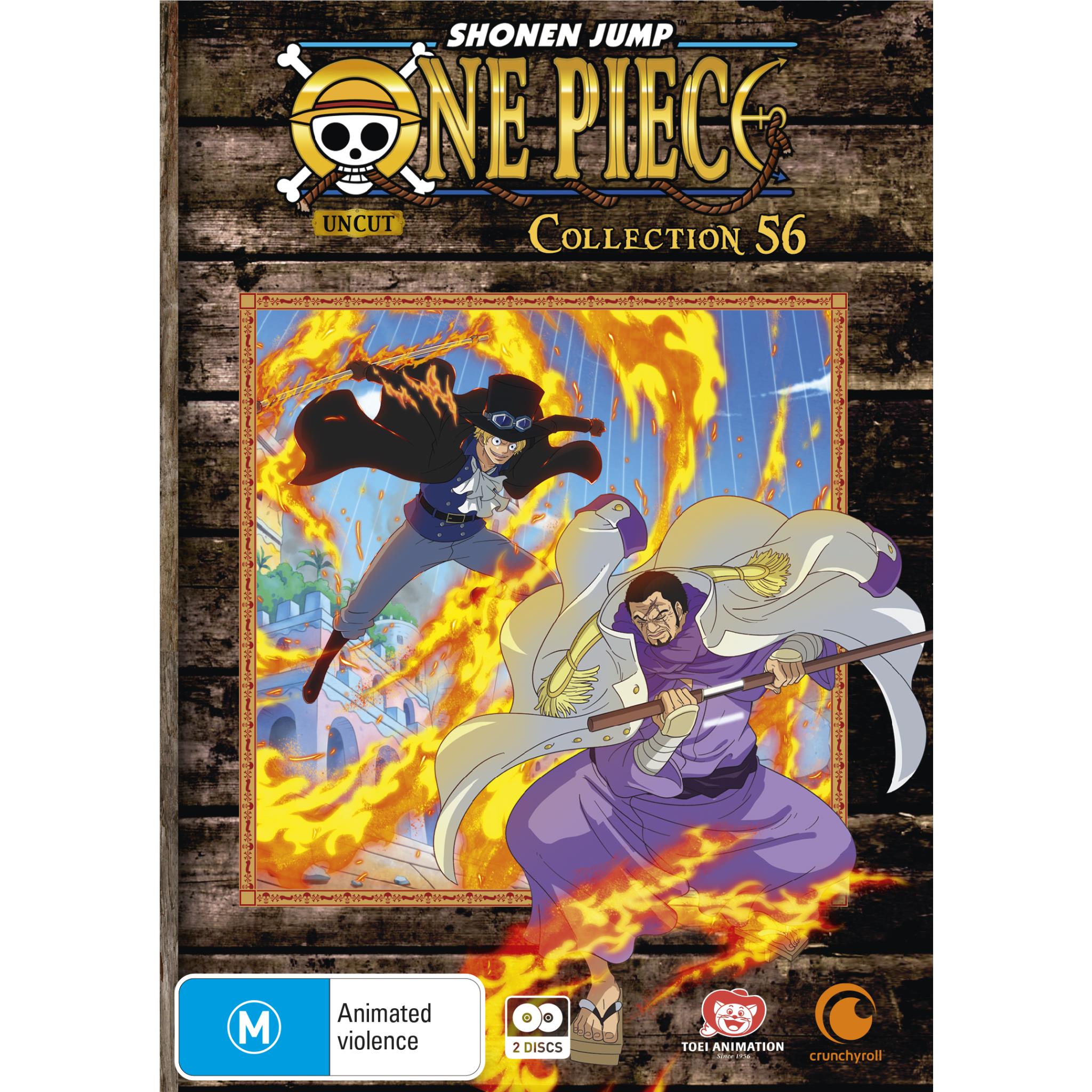 One Piece - Season 13 Voyage 1 - Blu-ray + DVD