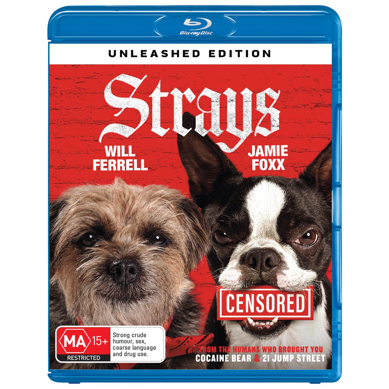 Strays (2023) - JB Hi-Fi