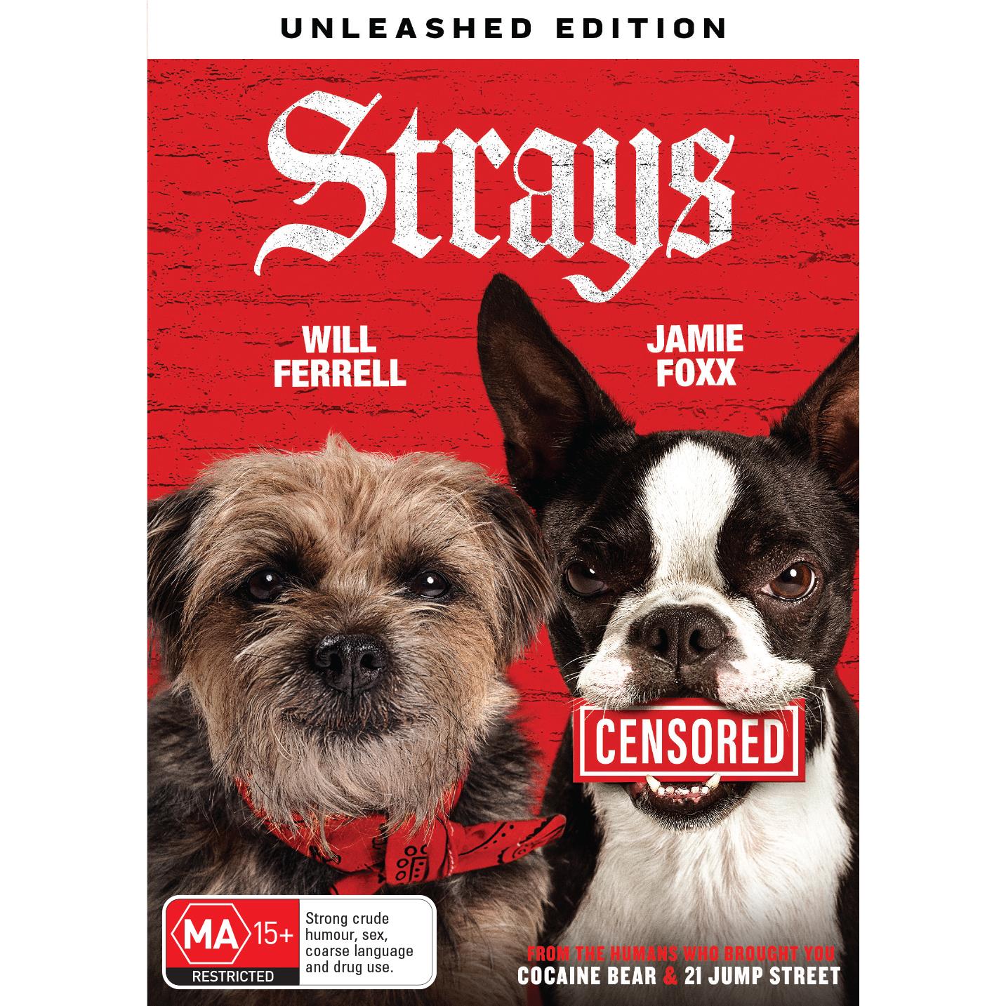 Strays (2023) - JB Hi-Fi